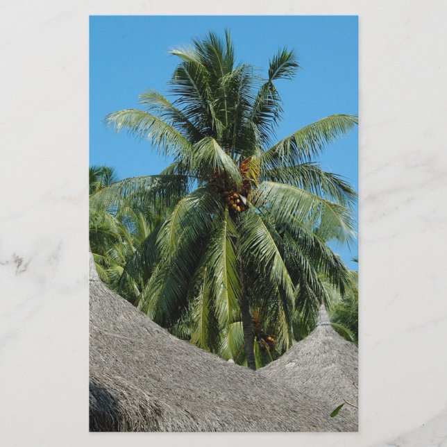 Coconut palm-tree flyer (Front)