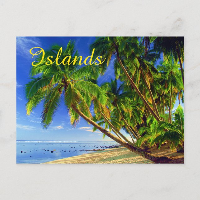 Coconut Palm Tree Sandy Tropical Island Beach Postcard (Front)
