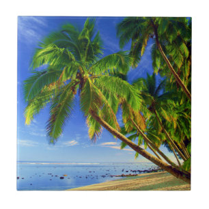Coconut Palm Tree Sandy Tropical Island Beach Tile