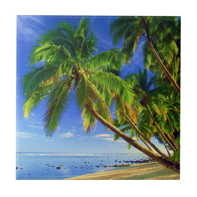 Coconut Palm Tree Sandy Tropical Island Beach Tile (Front)