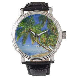 Coconut Palm Tree Sandy Tropical Island Beach Watch