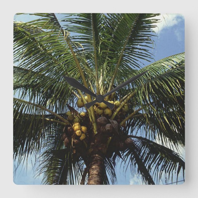 Coconut Palm Tree Square Wall Clock (Front)