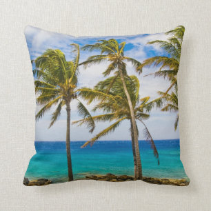 Coconut palm trees (Cocos nucifera) swaying in Cushion