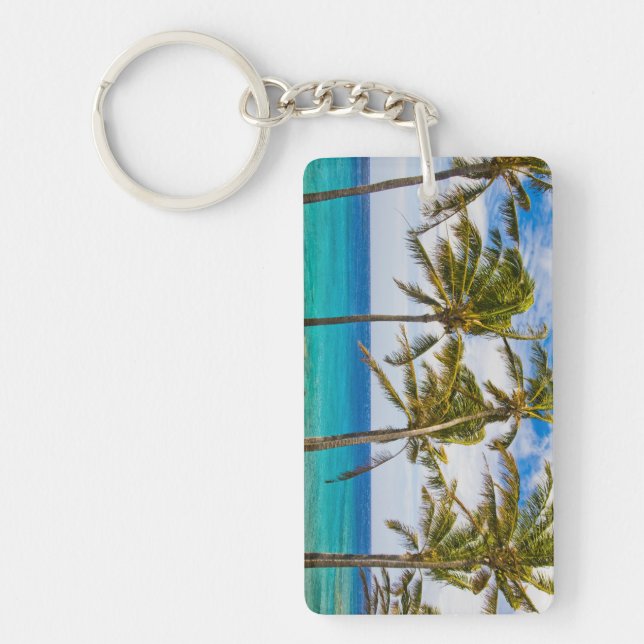Coconut palm trees (Cocos nucifera) swaying in Key Ring (Front)