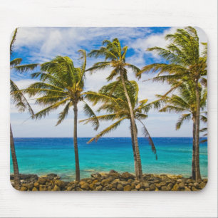 Coconut palm trees (Cocos nucifera) swaying in Mouse Mat