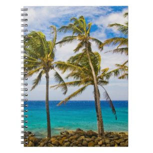Coconut palm trees (Cocos nucifera) swaying in Notebook