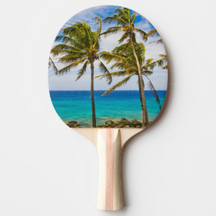 Coconut palm trees (Cocos nucifera) swaying in Ping Pong Paddle