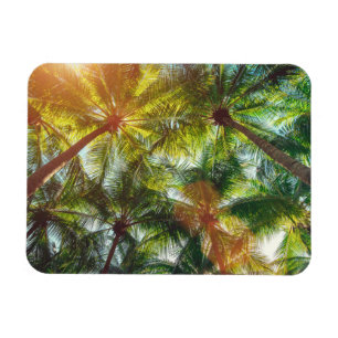 Coconut Palm trees on the Beach Magnet