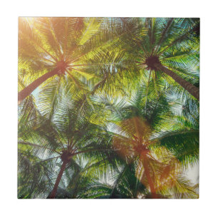 Coconut Palm trees on the Beach Tile