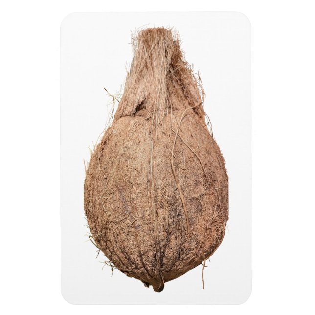 Coconut Photo Magnet (Vertical)