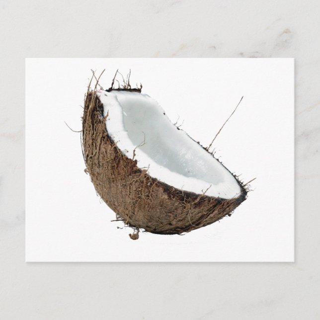 Coconut Postcard (Front)