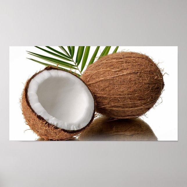 Coconut Poster (Front)