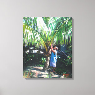 Coconut Shade 2014 Canvas Print