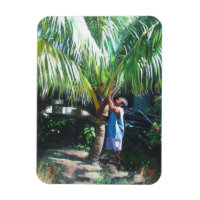 Coconut Shade 2014