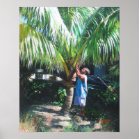 Coconut Shade 2014