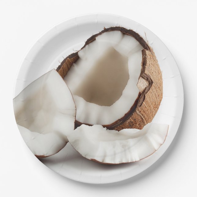 Coconut Shell Disposable Paper Plates (Front)