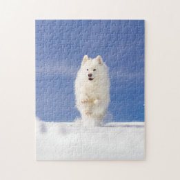 Coconut - Snow Bear Jigsaw Puzzle