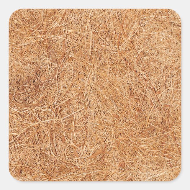 Coconut texture square sticker (Front)