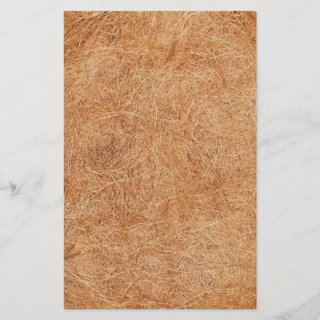 Coconut texture stationery (Front)