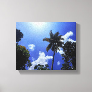 Coconut tree and sky canvas print