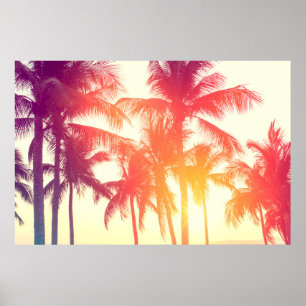 Coconut tree at tropical coast poster