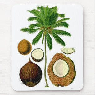 Coconut Tree Botanical Illustration Mouse Mat