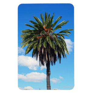 Coconut Tree Photo Magnet