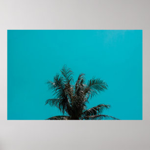Coconut tree poster