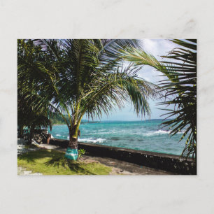 Coconut Tree Rocky Coast Pacific Beach Waves Postcard