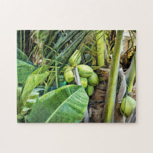 Coconut Trees Tropical Virgin Islands Caribbean Jigsaw Puzzle