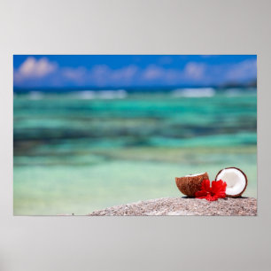 Coconut with tropical flower on exotic coast poster