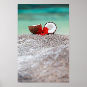 Coconut with tropical flower on exotic coast poster