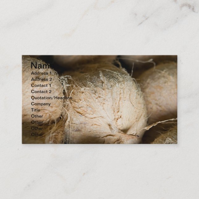 Coconuts Business Card (Front)