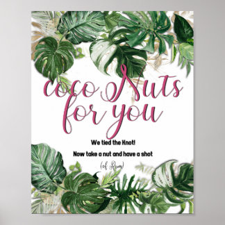 CocoNuts for you - poster