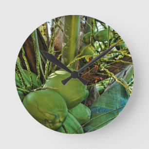 Coconuts Island Palm Tree Caribbean USVI Round Clock