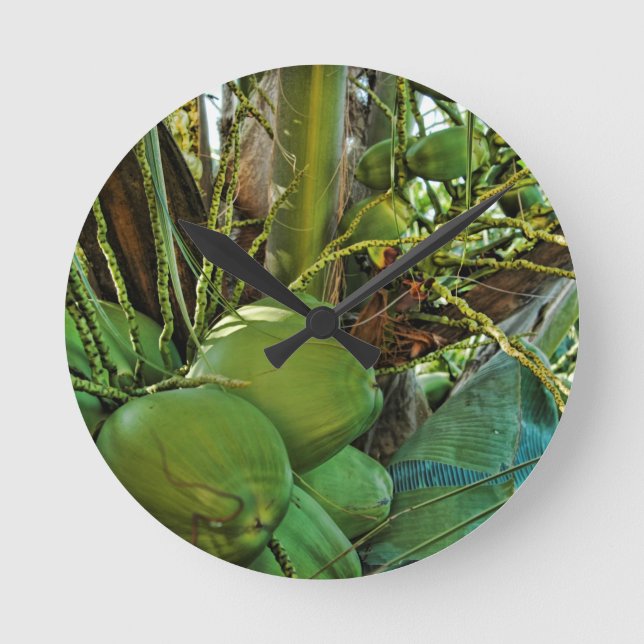  Coconuts Island Palm Tree Caribbean USVI Round Clock (Front)