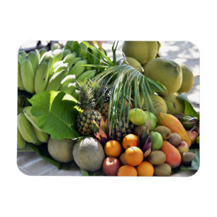 Coconuts, Oranges, Limes, Bananas, Papayas Magnet