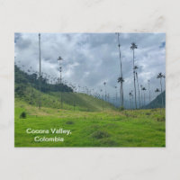 Cocora Valley, Colombia Postcard