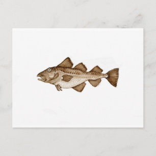 Cod 1 brown286.jpg postcard