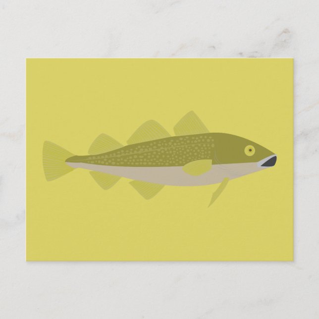 Cod Fish Postcard (Front)
