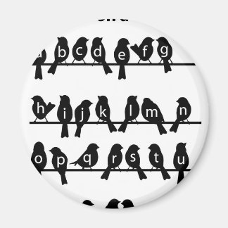 Code Key - Birds on a wire Magnet