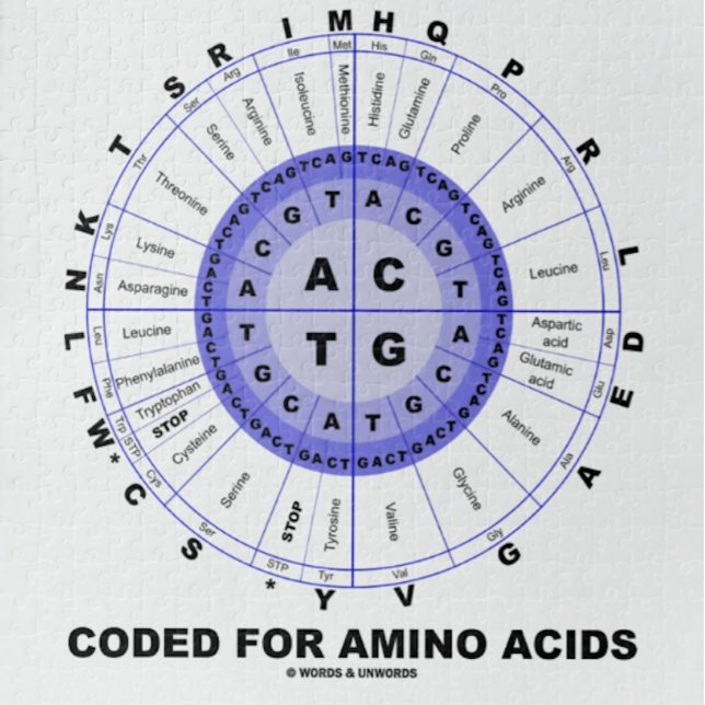 Coded For Amino Acids (Genetic Code DNA) Jigsaw Puzzle (Jigsaw puzzle featuring codon wheel for anyone who is "Coded For Amino Acids" & that means everyone!)