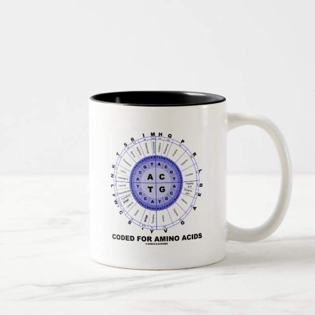 Coded For Amino Acids (Genetic Code DNA) Two-Tone Coffee Mug (Right)