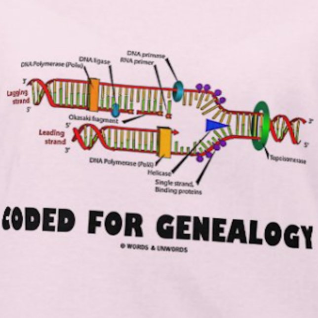 Coded For Genealogy (DNA Replication) T-Shirt (If you're into genealogy - i.e., as your family's family historian - you'll enjoy this DNA humor tee)