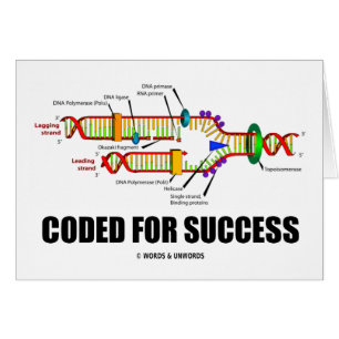 Coded For Success (DNA Replication)