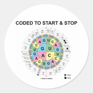 Coded To Start And Stop (Codon Wheel) Classic Round Sticker