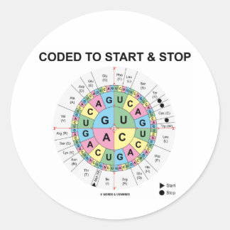 Coded To Start And Stop (Codon Wheel) Classic Round Sticker