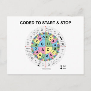 Coded To Start And Stop (Codon Wheel) Postcard