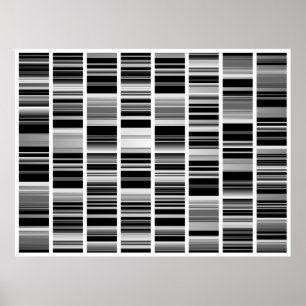 Codex Poster