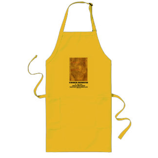 Codex Runicus c. AD 1300 One Of The Oldest Texts Long Apron